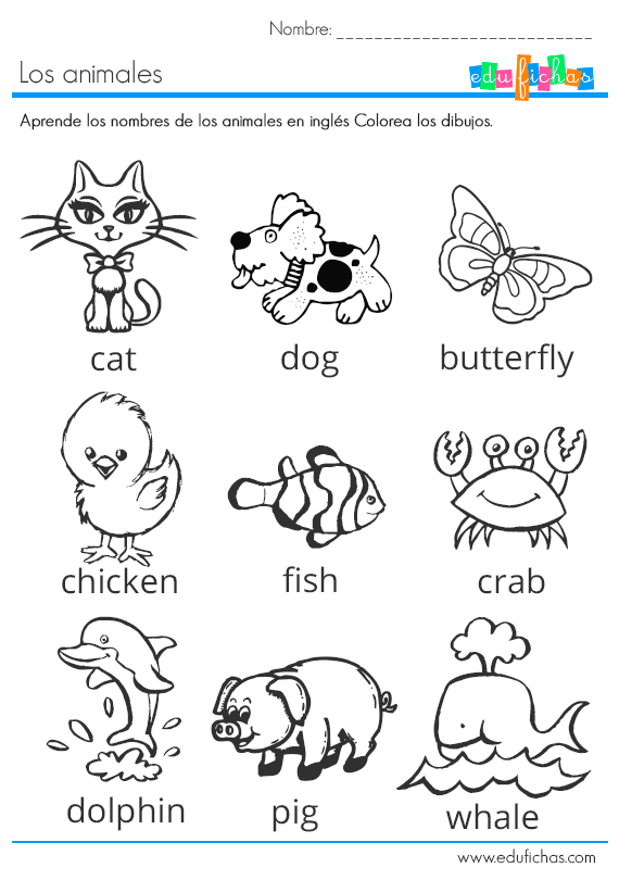 Los animales en inglés. Ficha educativa infantil con vocabulario.