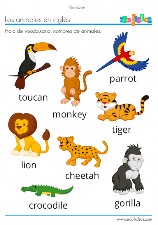 ANIMALES EN INGLÉS Vocabulario + Ejercicios + Flashcards