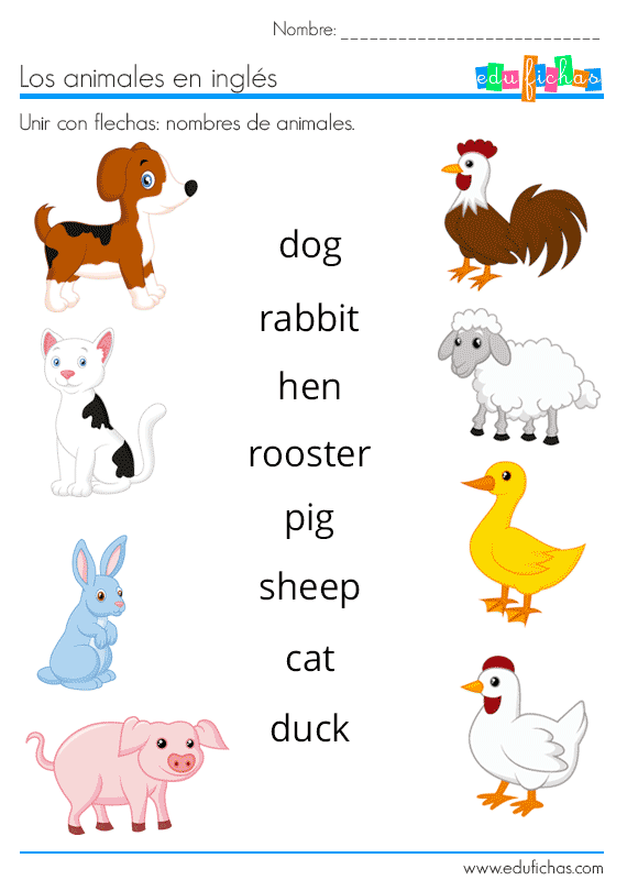 Animales En Inglés Vocabulario Ejercicios Flashcards