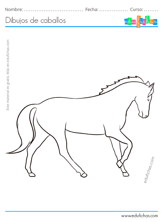 Cómo dibujar un caballo de forma sencilla  Noti Caballos