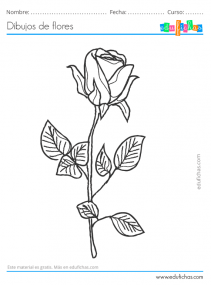 Dibujos de Flores. Descarga GRATIS Dibujos para Colorear de Flores