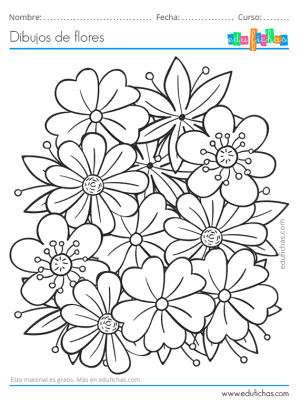  Dibujos de Flores. Descarga GRATIS Dibujos para Colorear de Flores
