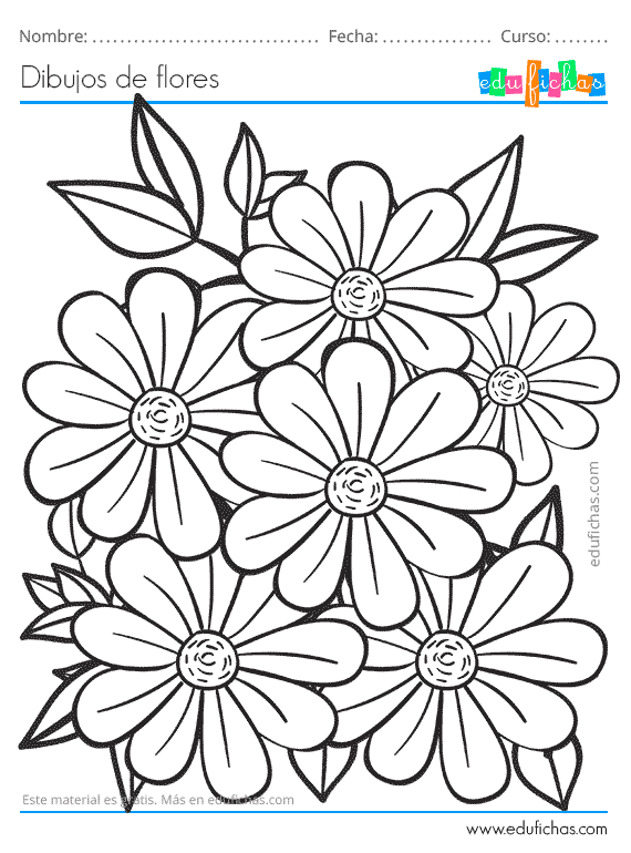 Dibujos de Flores. Descarga GRATIS Dibujos para Colorear de Flores