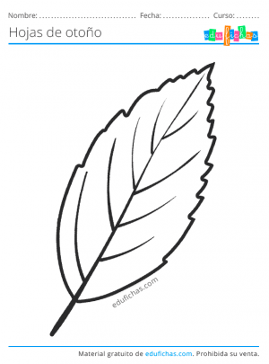 🥇 Hojas de Otoño para Colorear. Descargar Dibujos para Pintar (PDF)
