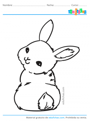 Dibujos de Conejos para Colorear. Descarga Gratis【PDF】