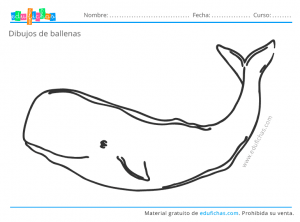ballenas colorear