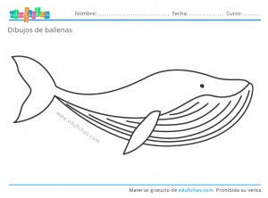 Dibujos de Ballenas para Colorear【PDF】