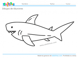 dibujos de tiburones