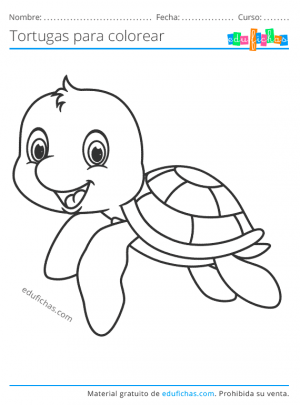 ✓ Dibujos de Tortugas para Colorear. Descargar PDF gratis