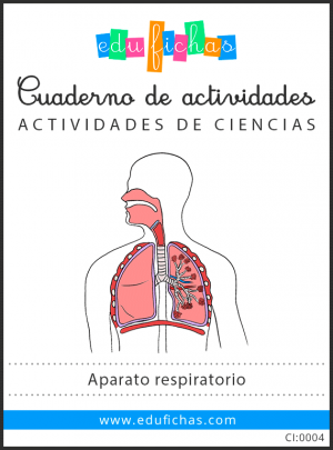 aparato respiratorio pdf