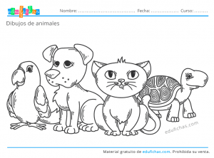 Dibujos de Animales para Colorear. Descargar Gratis en PDF