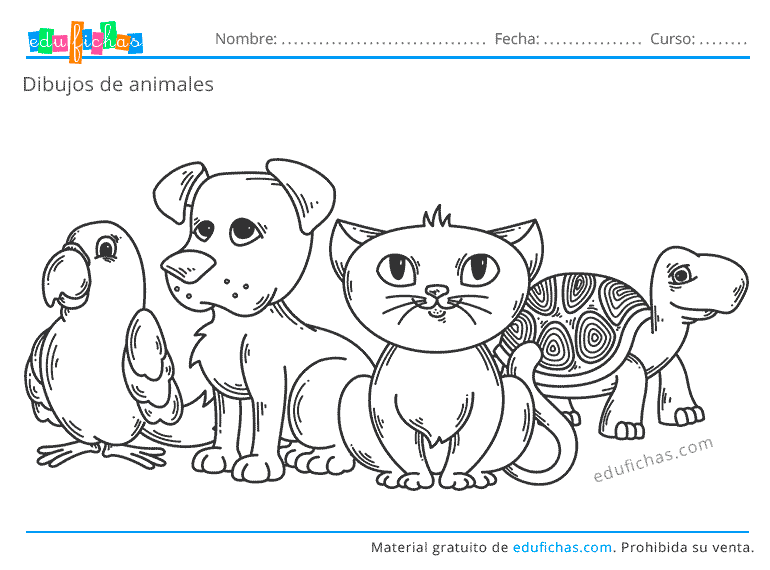 Dibujos De Animales Para Colorear Descargar Gratis En PDF dibujos-de-animales-para-colorear-descargar-gratis-en-pdf