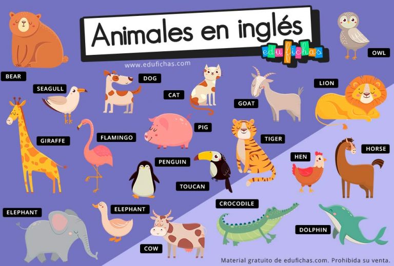 Ingles Animales Zoo 2 Vocabulario En Ingles, Fichas 655