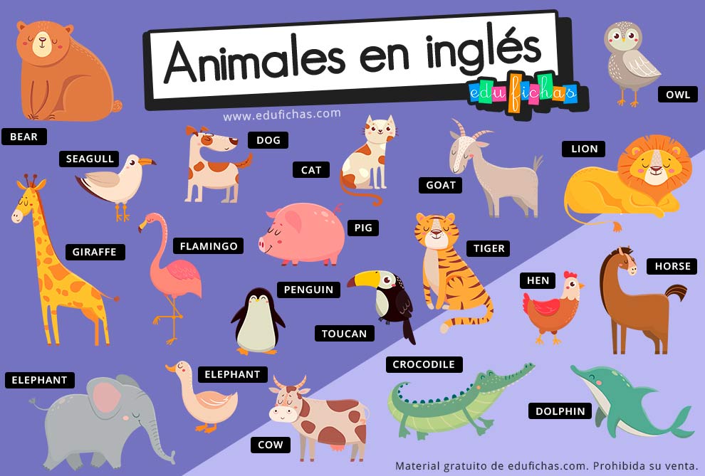 ▷ ANIMALES EN INGLÉS | Vocabulario + Ejercicios + Flashcards