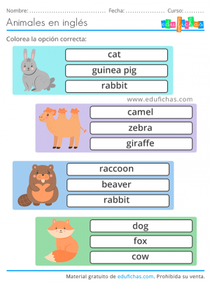 ejercicios en inglés sobre animales gratis