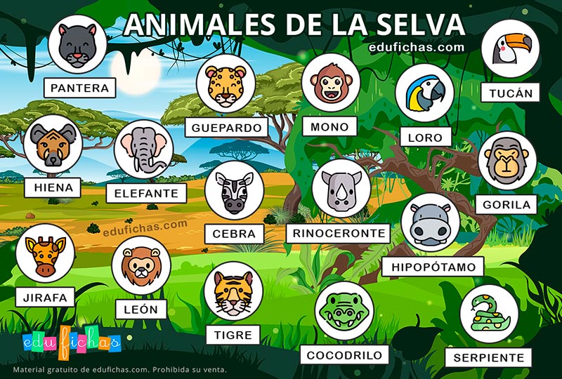 animales de la selva para niños