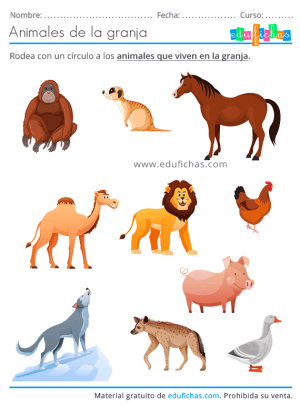 Animales de la Granja - Fotos, Fichas y Juegos para Imprimir GRATIS