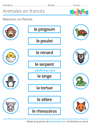 actividades de animales en francés