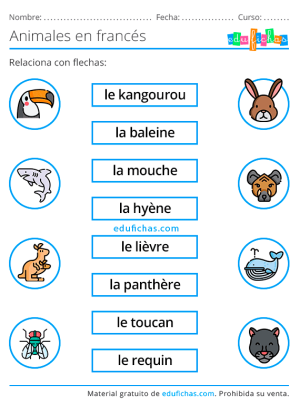 vocabulario en francés de animales